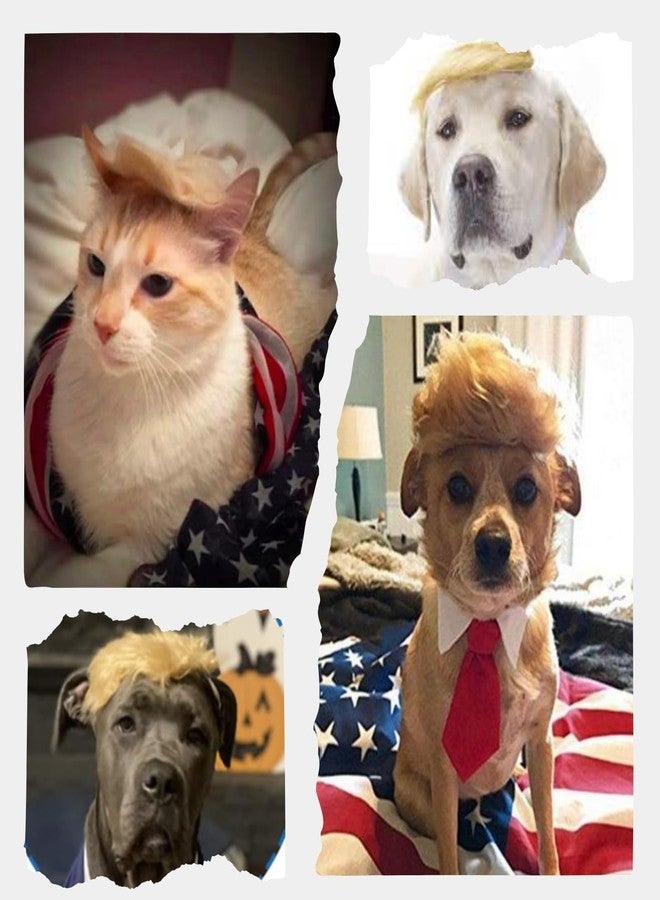 Urnat -Blonde Pet Wig with Bow for Cat or Dog: Funny Iconic Toupee Hat Cosplay Clothes Costume Halloween Accessories (Red Tie, L) - Image 3