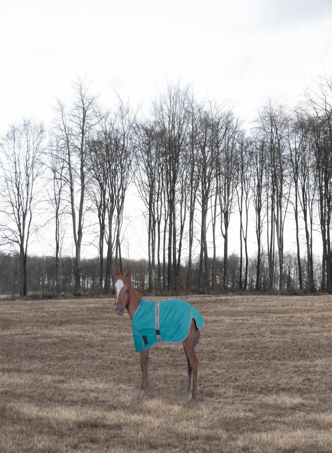 TuffRider 1200D Ripstop Foal Adjustable Turnout Tu