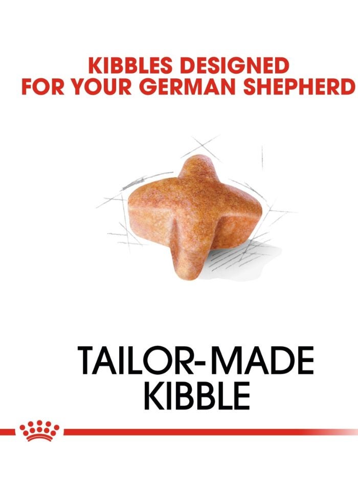 ROYAL CANIN Breed Health Nutrition German Shepherd Adult 3 KG - Image 2