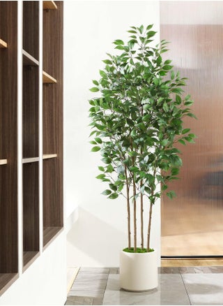 Ficus Artificial Tree 180CM