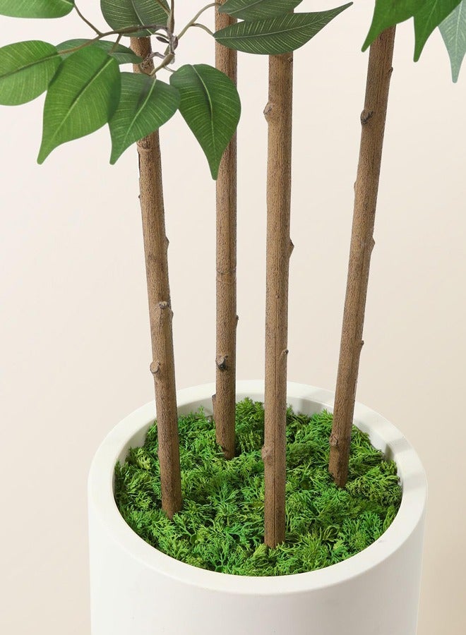 Zvezvia Ficus Artificial Tree 180CM with White Planter, Indoor Faux Silk Plant with Green Moss for Home Office Corner Decor, Set of 1 - Image 3