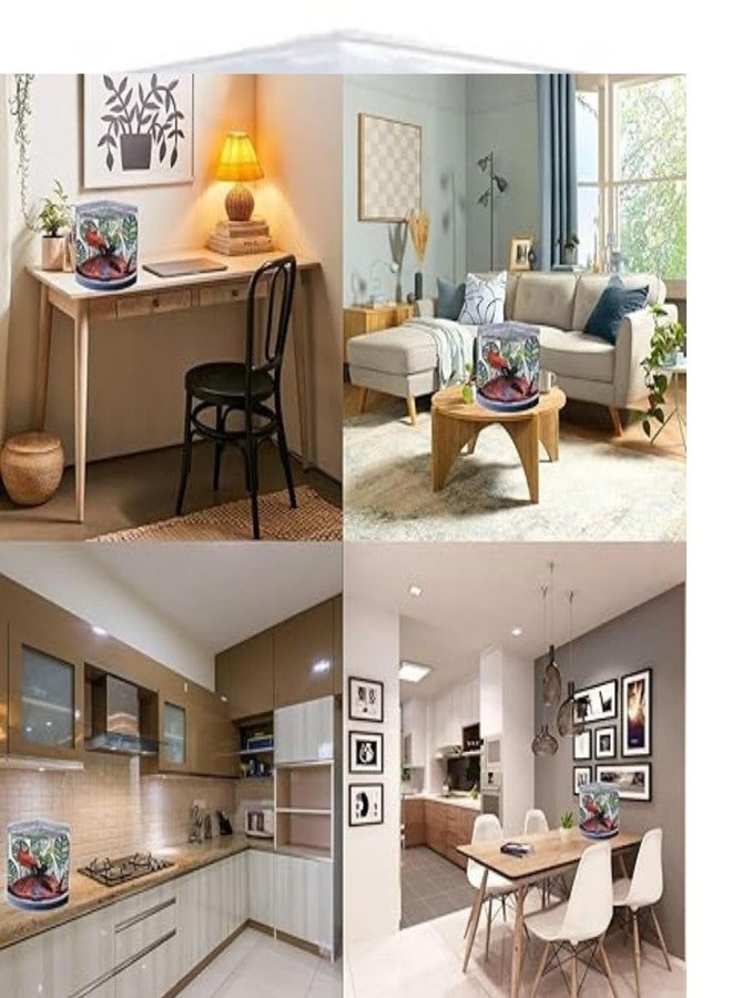 KSH STORE حوض أسماك صغير من دوفين T101 | خفيف الوزن | تصميم أنيق وعصري | مثالي لأسماك البيتا والأسماك الصغيرة وتربية النباتات | السعة: 1.4 لتر (T-101) - Image 3