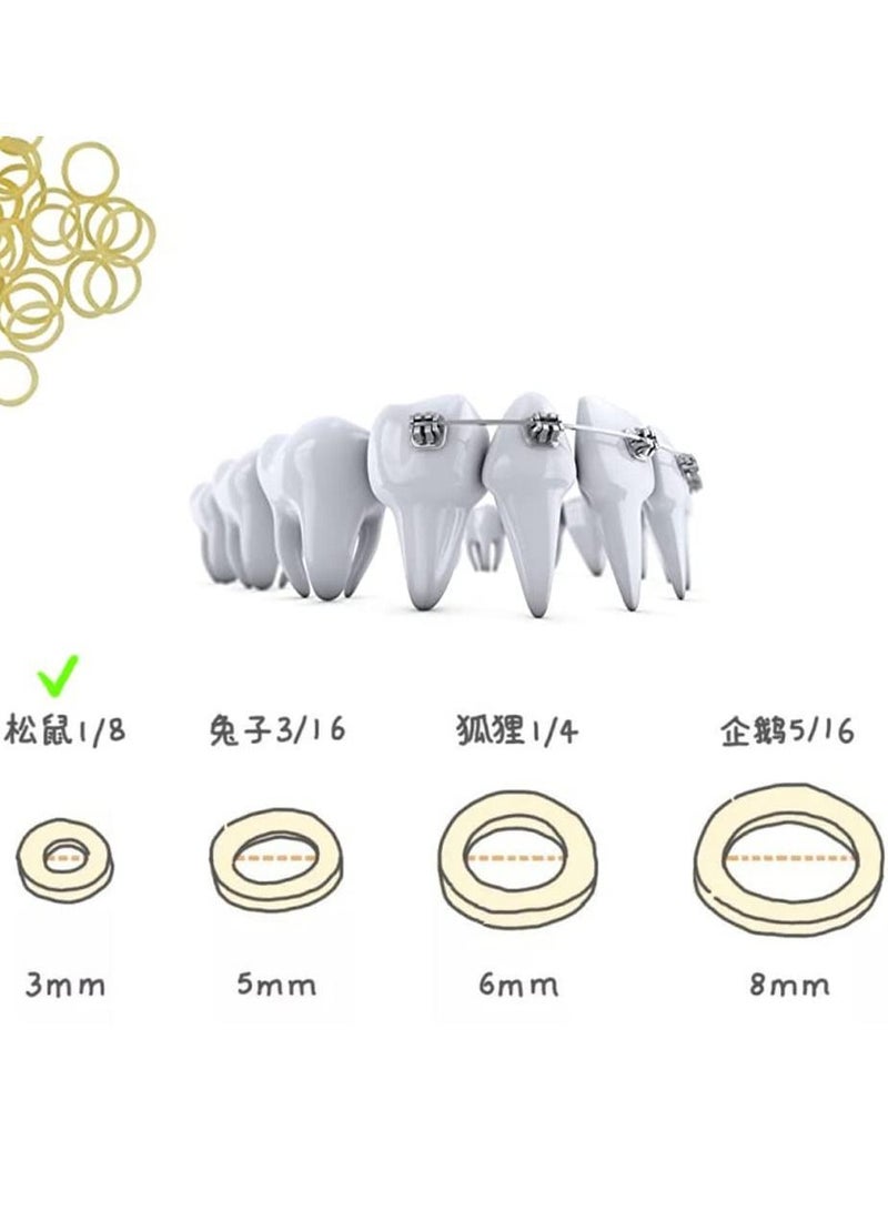 Y&D SYOSI 10 Packs Orthodontic Elastic Rubber Bands Dental for Dentist Clinic Supplies, Dreadlocks, Hair, Braids, Fix Tooth Gap Chipmunk - Image 5