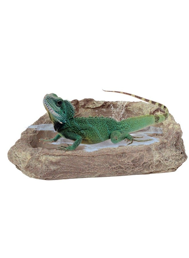 Needzo Corner Rock Bowl for Hermit Crabs, Food and Water Dish Accessory, Tank Supplies, 3 Inches - Image 3