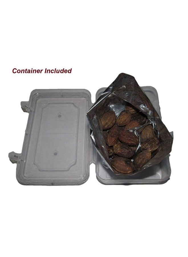 advancedestore Dried Whole Haritaki with Plastic Container - 250 Gm - Image 3