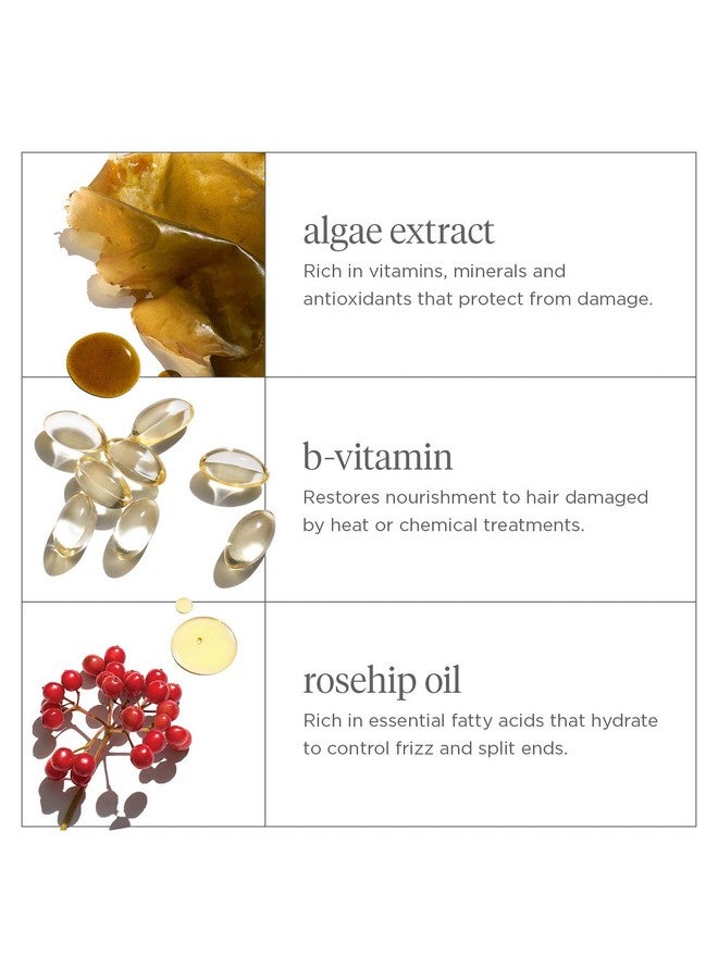 بريوجيو، لا تيأسي، أصلحي! قناع ترطيب عميق، بلسم عميق للشعر الجاف والتالف أو المصبوغ، يمنع تكسر الشعر مستقبلًا، قناع بروتين لشعر أقوى، نباتي، خالٍ من القسوة، 8 أونصات سائلة - Image 3