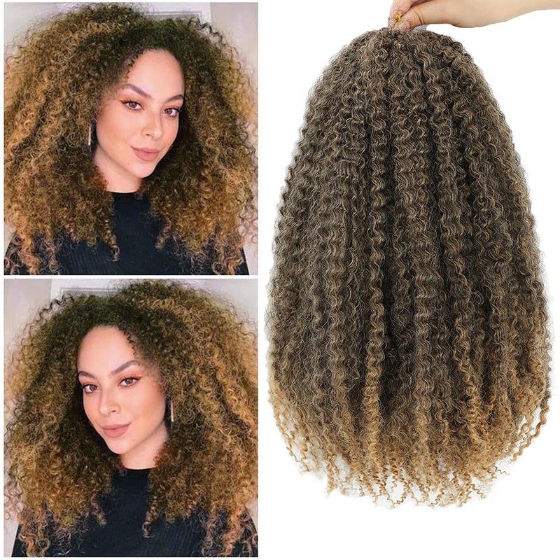 Dansama Marley Twist Braiding Hair 24 Inch Twist Hair Ombre Hair 3 Packs Crochet Twist Curly Hair Extensions 24 Inch Pack of 3 T1B27