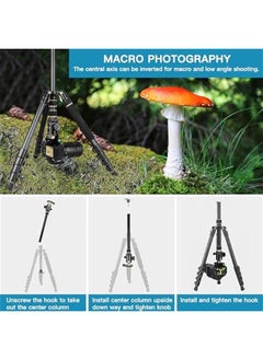 Arabest Professional Camera Tripod Stand for DSLR Photography, Lightweight yet Heavy Duty. Perfect for Spotting Scopes, Telescopes, and Binoculars. Complete Compact Tripod Unit, Tall and Sturdy Stand.  - Image 5