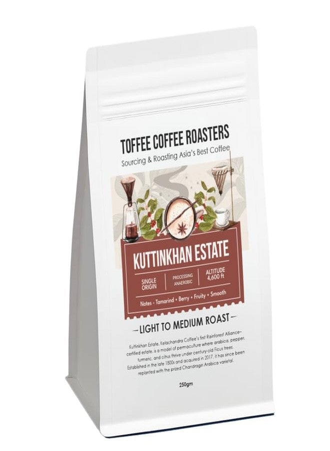 Toffee Coffee Roasters Kuttin Khan Estate | Processing Anaerobic | Freshly Roasted Ground Coffee | Light to Medium Roast | Grind: Hariov60 Notes: Cinnamon and Nutmeg Spice, 250GM - Image 1