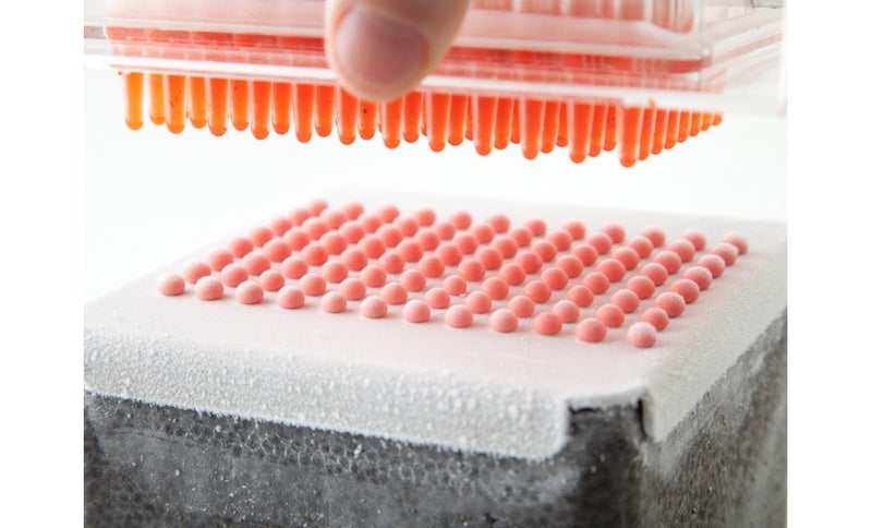Caviar box Molecular cooking caviar box caviar generation maker popping boba maker - Image 4