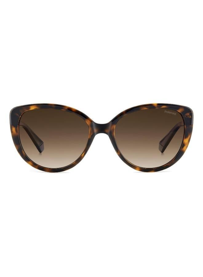 Polaroid Cat Eye Sunglasses Frames - Image 3