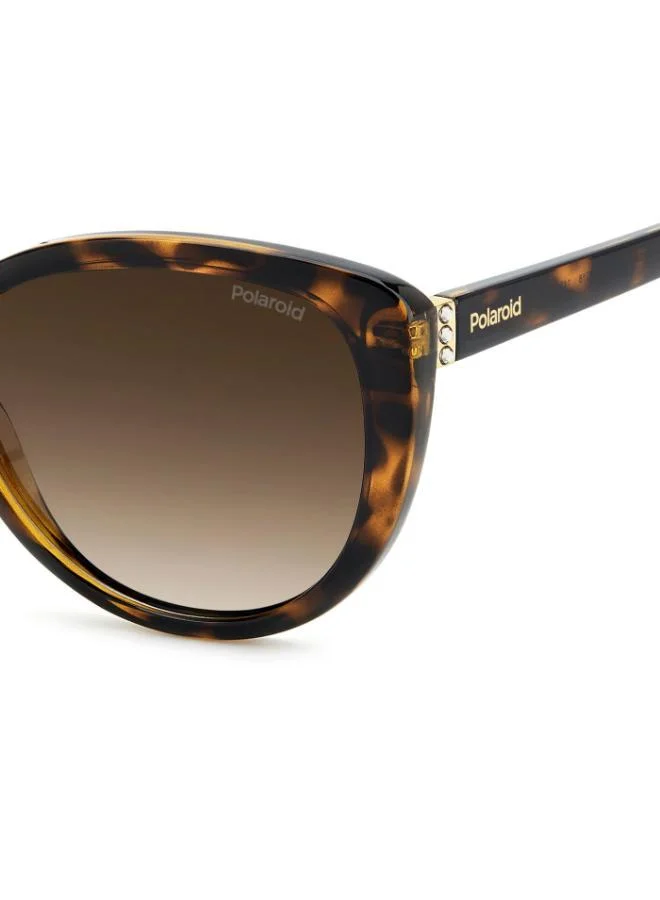 Polaroid  Cat Eye Sunglasses Frames  | Best Price UAE