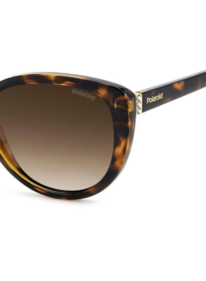 Polaroid Cat Eye Sunglasses Frames - Image 5