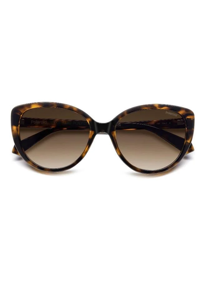 Polaroid  Cat Eye Sunglasses Frames  | Best Price UAE