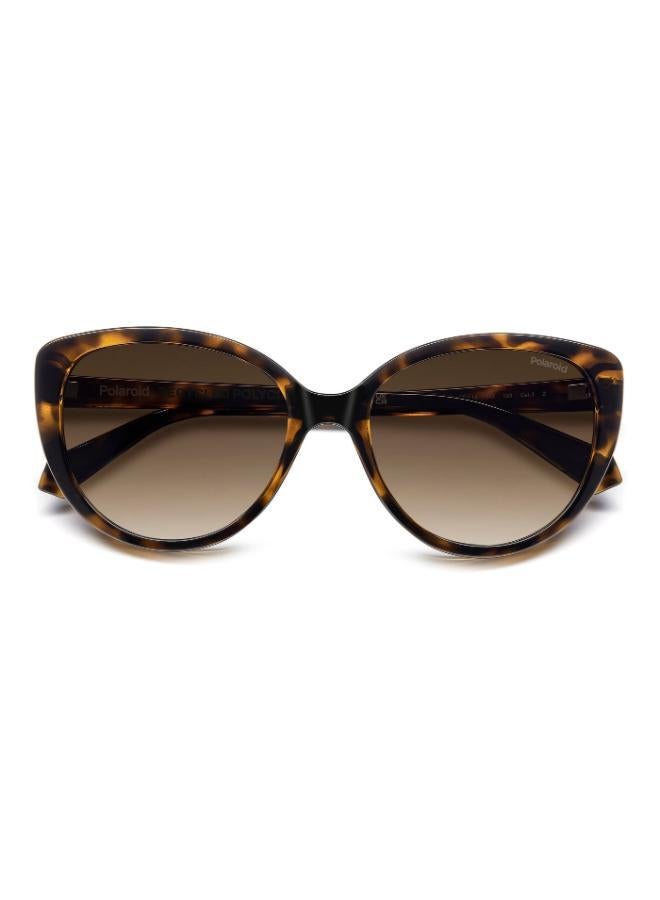 Polaroid Cat Eye Sunglasses Frames - Image 4