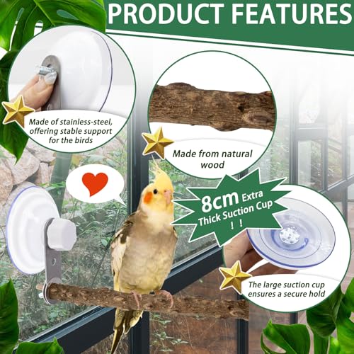 Niuohoy 2 Pcs Natural Bird Perch Stand with Suction Cup Window Birds Perch for Window Mirror Car Shower Ceramic Tiles Bath Wood Training Perch, for Bird, Cockatoo, Macaw, Parakeet - Image 3