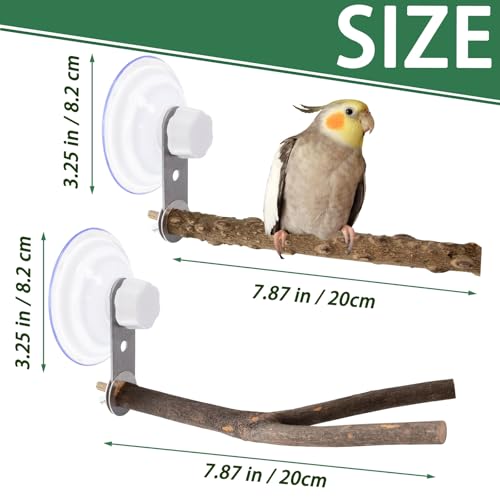Niuohoy 2 Pcs Natural Bird Perch Stand with Suction Cup Window Birds Perch for Window Mirror Car Shower Ceramic Tiles Bath Wood Training Perch, for Bird, Cockatoo, Macaw, Parakeet - Image 2