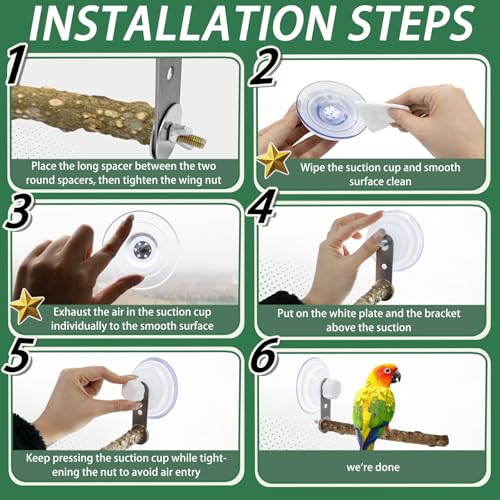Niuohoy 2 Pcs Natural Bird Perch Stand with Suction Cup Window Birds Perch for Window Mirror Car Shower Ceramic Tiles Bath Wood Training Perch, for Bird, Cockatoo, Macaw, Parakeet - Image 5