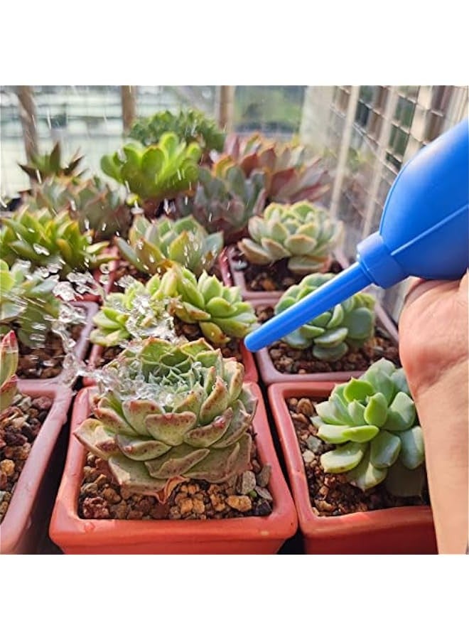 2pcs Rubber Bulb Air Blower with Soft Brush for Camera, Microscopes, Telescope, Guitars, Keyboards, Records, Cell Phones, and Succulents. - Image 5