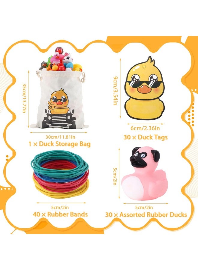 Prudiut Rubber Ducks Kits 30 Pcs Assorted Duckies with 30 Duck Tags and 40 Rubber Bands with Storage Bag Random Duckies for Car Ducking Decor, Baby Bath & Pool Toys, Party Favors - Image 2