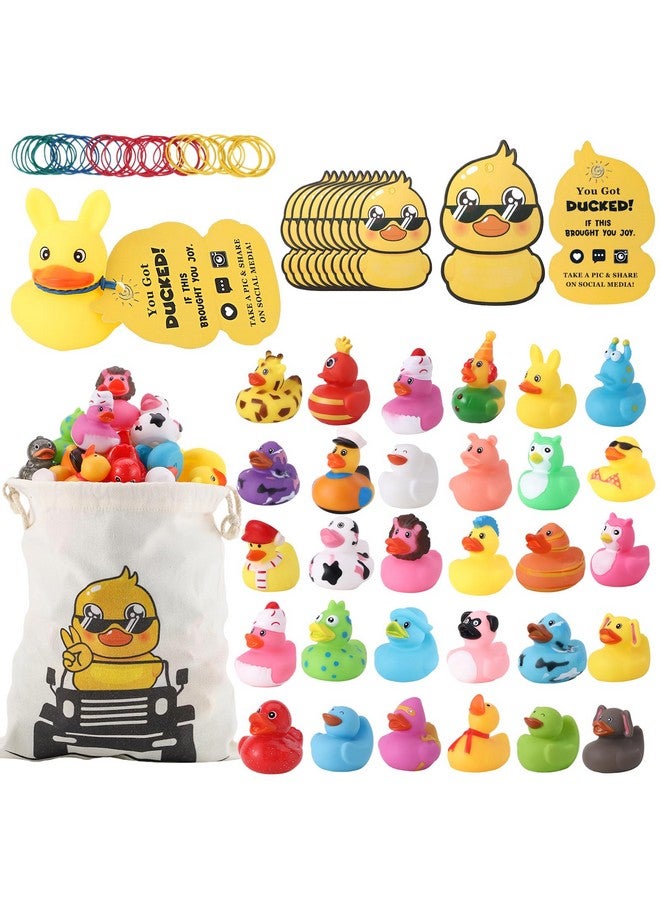 Prudiut Rubber Ducks Kits 30 Pcs Assorted Duckies with 30 Duck Tags and 40 Rubber Bands with Storage Bag Random Duckies for Car Ducking Decor, Baby Bath & Pool Toys, Party Favors - Image 1
