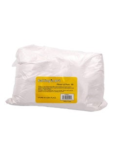 Falling In art Falling in Art 5 LB Plaster of Paris Powder - Hand Mold Casting Kit Powder, Gypsum Cement, Pottery & Ceramic Plaster Powder for Crafts, Sculpture, Diorama and Home Decor  - Image 1