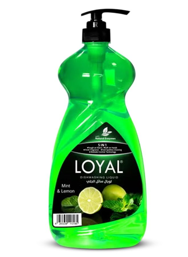 loyal 5 in 1 Dishwashing Liquid - Mint & Lemon 1.5L