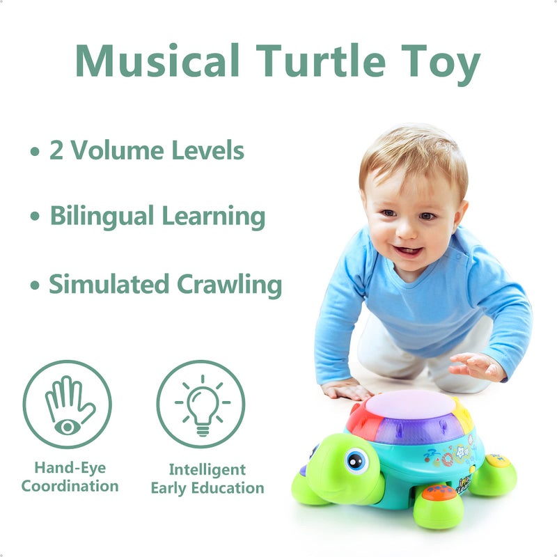 iPlay, iLearn Baby Musical Turtle Toy, Spanish English Bilingual Learning, Toddler Crawling Toys W/ Light & Sound, Infant Development Educational Birthday Gifts 6 7 8 9 10 12 Month 1 Year Old Boy Girl - Image 3