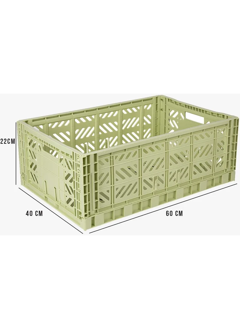 Ayyıldız Aykasa 604022 Maxibox Lime Foldable Case
