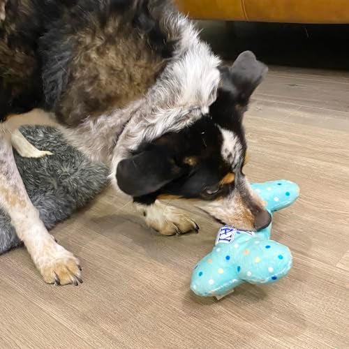 Prime Pets Dog Birthday Toys, Plush Dog Squeaky Toys, Stuffed Puppy Chew Toy for Small Medium Large Dogs, Bone Pet Toy - Image 5
