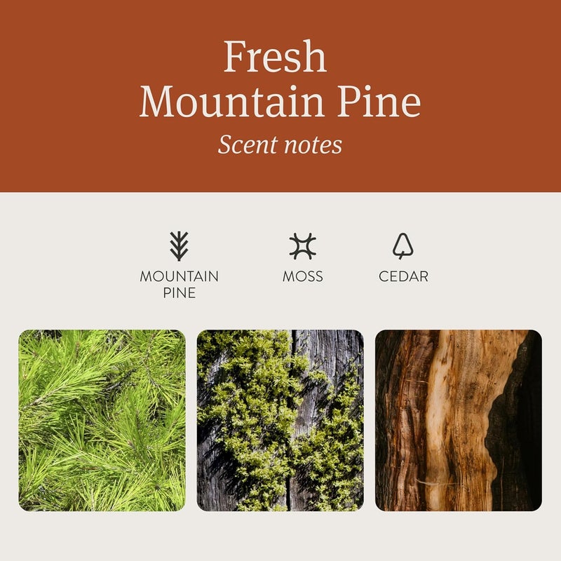 drift Wood Air Freshener Starter Kit - Pine - Image 3