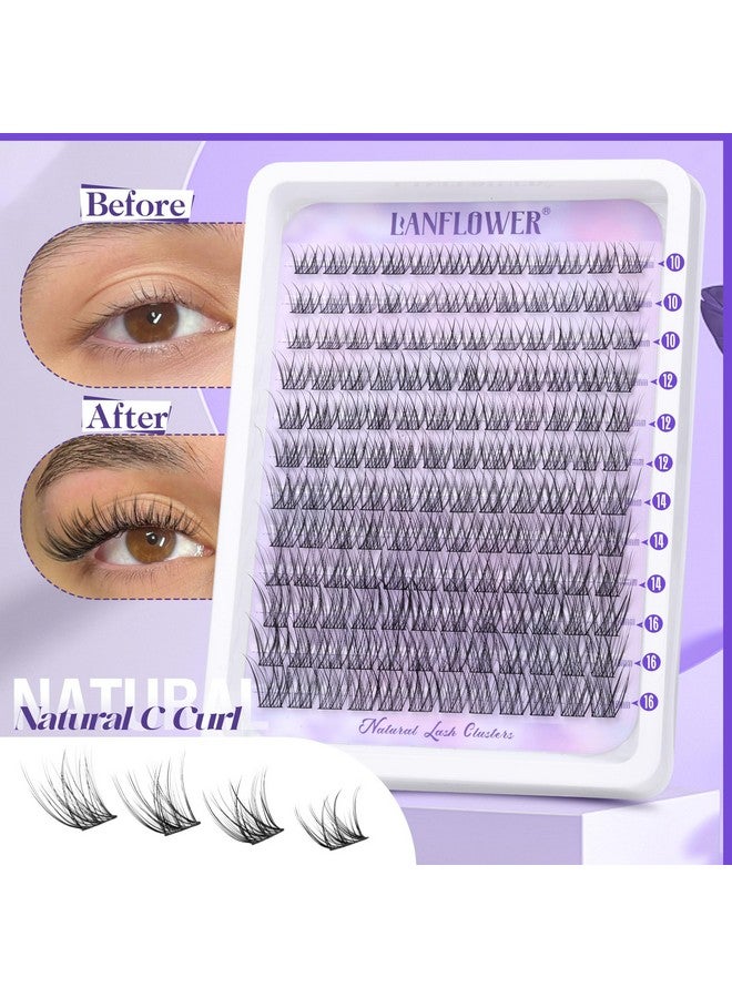 LANFLOWER Natural Lash Clusters Kit Wispy Lash Extension Kit Waterproof Lash Clusters C Curl Cluster Eyelash Extensions Kit 144pcs Individual Lashes 10-16mm Eyelash Extension Kit by Lanflower - Image 2