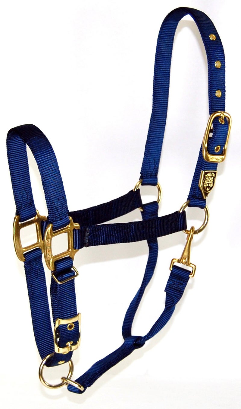 Hamilton 1-Inch Nylon Halter with Adjustable Chin, Navy Blue - Small Size - Image 1
