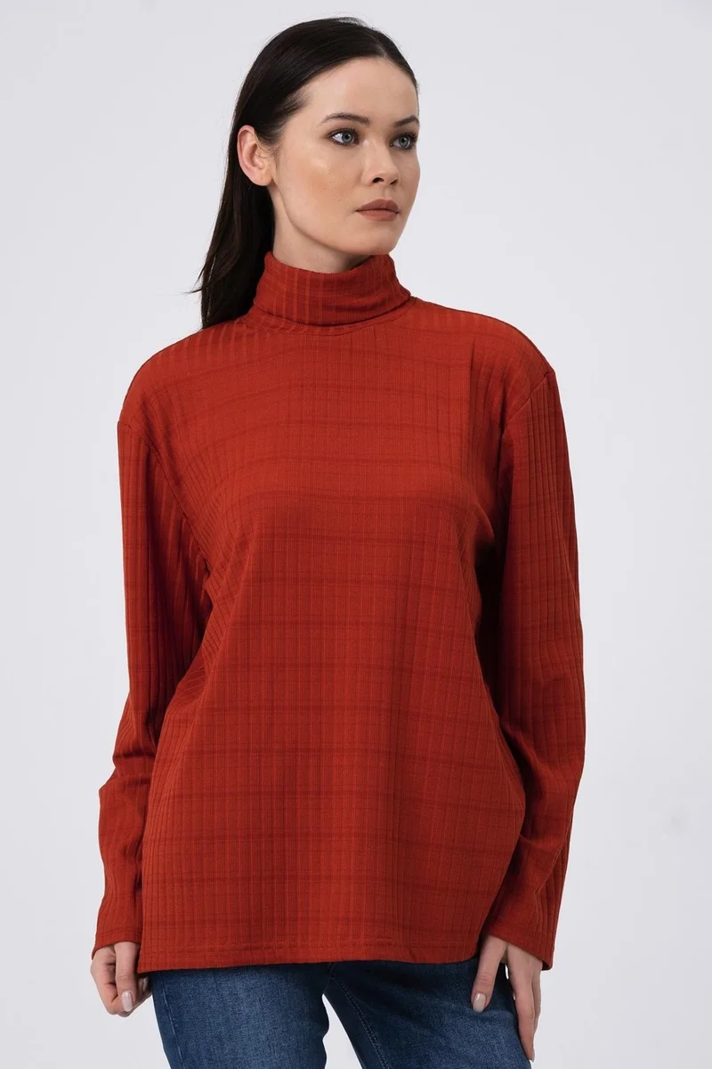 الكسندر جاردي Turtleneck Sweater (B22-730A)
