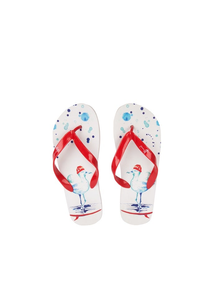 بيج ديزاين شبشب بيج ديزاين أنيموس سيلور سيجول مقاس 36-37 - Image 2