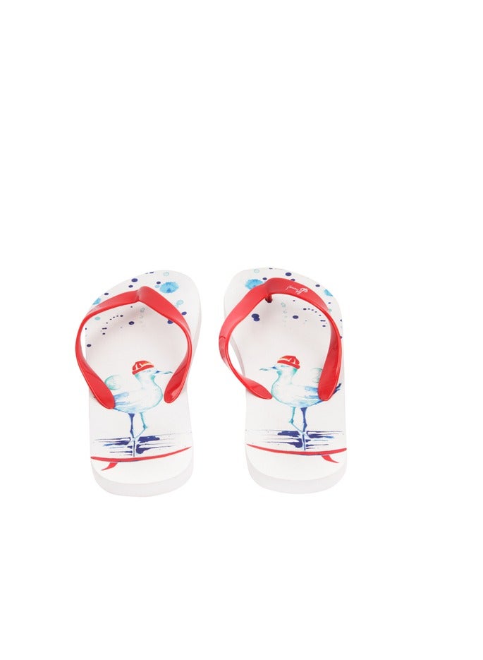 بيج ديزاين شبشب بيج ديزاين أنيموس سيلور سيجول مقاس 36-37 - Image 3