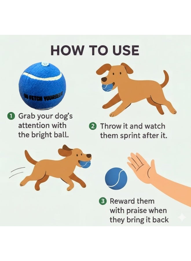 Elan Pet Tennis Ball Po 1 With Squeaker Blue – Durable Dog Toy Ball With Built-In Squeaker For Fetch, Training And Interactive Play - Image 4