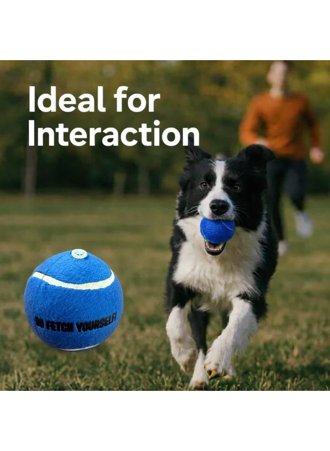Elan Pet Tennis Ball Po 1 With Squeaker Blue – Durable Dog Toy Ball With Built-In Squeaker For Fetch, Training And Interactive Play - Image 5
