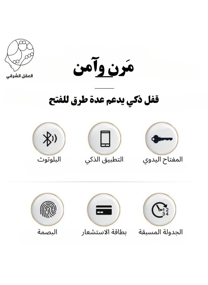 Smart Fingerprint Lock  Compatible With TUYA App(contain one  battery CR123A)
