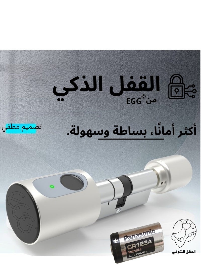Smart Fingerprint Lock  Compatible With TUYA App(contain one  battery CR123A)