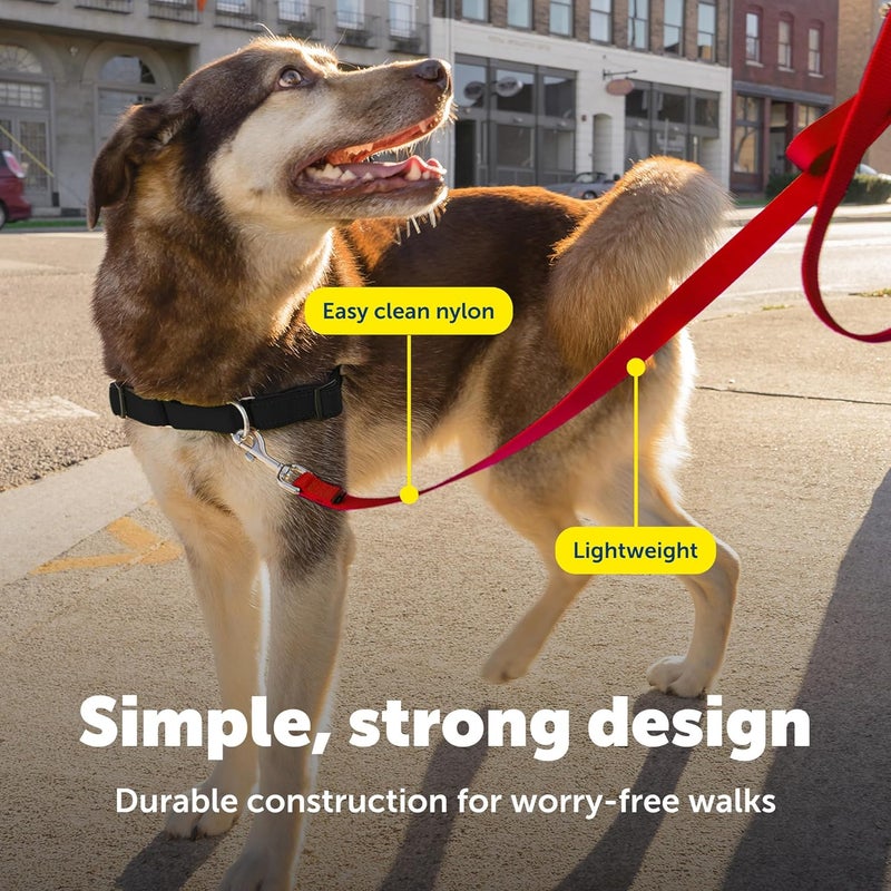 PetSafe Nylon Leash, 1" x 4', Red - Image 4