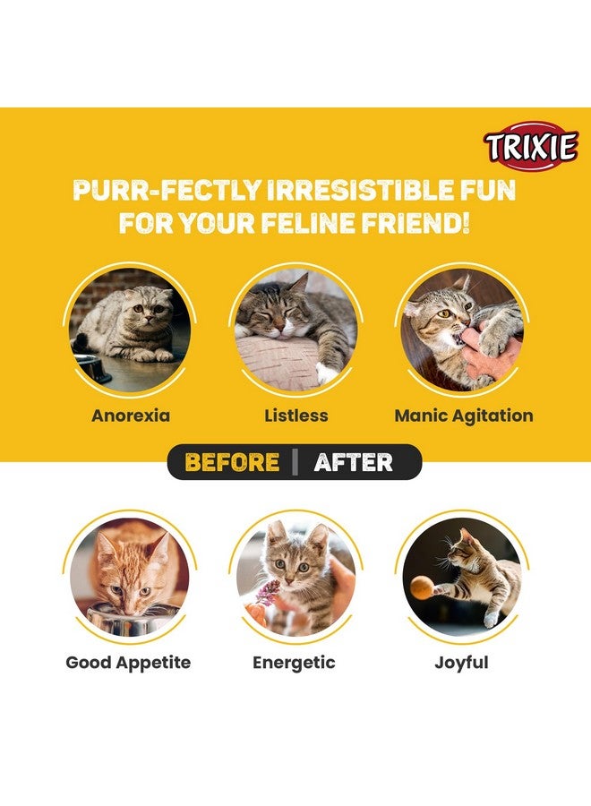 Trixie Matatabi Chewing Stick | Interactive Cat Toy, Attracts And Stimulates Cats Hunting Instincts | Made With Dried Matatabi Fruits, Supports Dental Hygiene And Cleans Teeth - 10 Gm (Pack Of 3) - Image 5