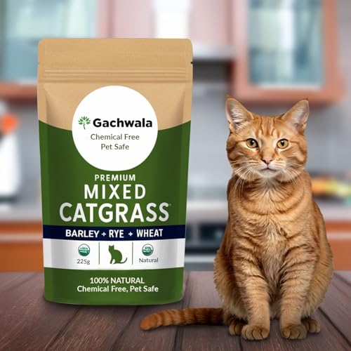 Gachwala Premium Mixed Catgrass Refill Pack (Barley + Rye + Wheat) 225gm | Organic Blend for Healthy Cats | Perfect for Digestion & Nutrition 100% Natural Pet Safe | Cat Grass Seeds - Image 1