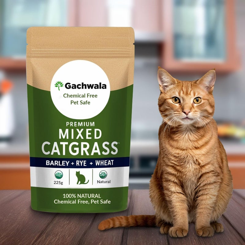 Gachwala Premium Mixed Catgrass Refill Pack (Barley + Rye + Wheat) 225gm | Organic Blend for Healthy Cats | Perfect for Digestion & Nutrition 100% Natural Pet Safe | Cat Grass Seeds - Image 5