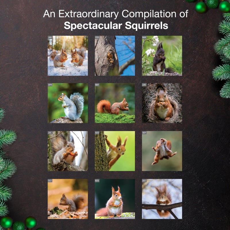 MICASA PRESS Squirrels 2026 Wall Calendar 12 Month | 12â€ x 24â€ Open | Thick & Sturdy Paper | Holiday Gift | Funny Animal Calendar 2026 - Image 3