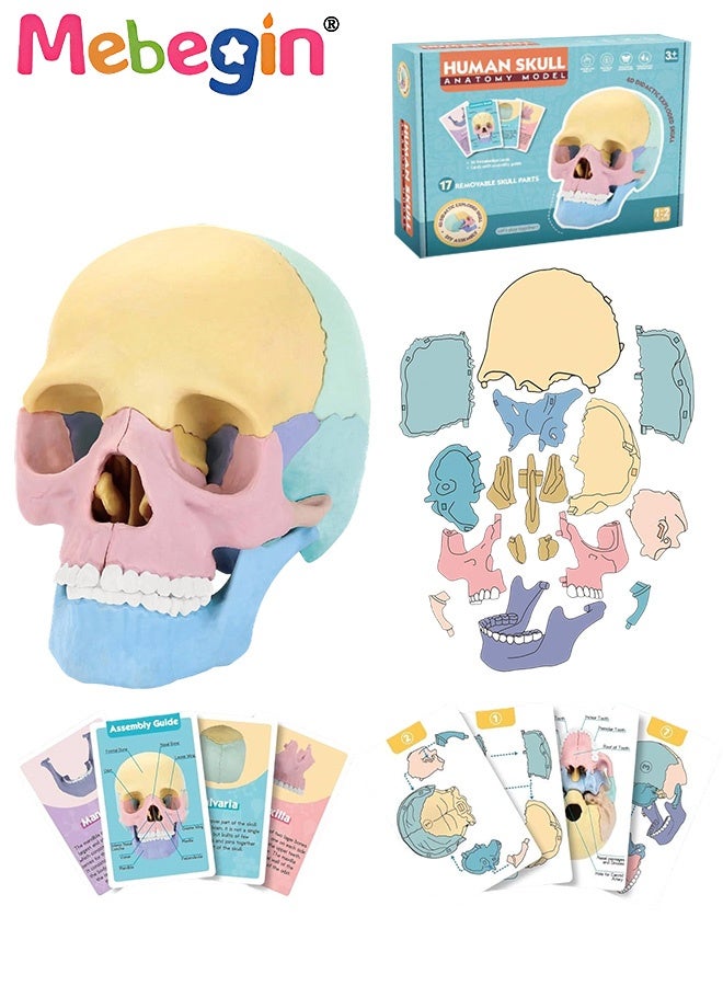 ميبيجين نموذج تشريح الجمجمة المكون من 17 جزءًا، مجموعة نماذج الجمجمة البشرية القابلة للفصل مع 10 بطاقات معرفية، معدات تعليمية للعيادات الطبية وعيادات الأسنان، رائعة للتدريس في المدارس، أداة عرض للأبحاث ومستلزمات زينة المختبرات، 8.6*14.5*11 سم - Image 1