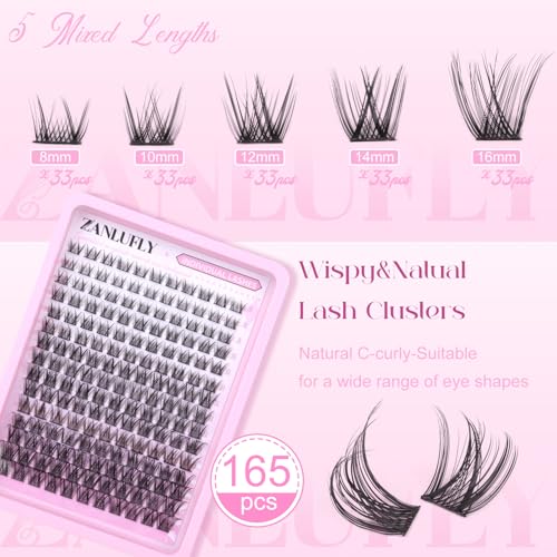 zanlufly Lash Clusters Wispy Eyelash Clusters Natural C-Curly DIY Lash Extension zanlufly 180Pcs Thin Band Individual Lashes Eyelash Extensions (8-16MM) - Image 2
