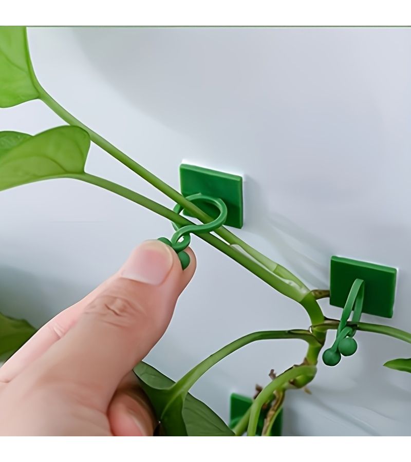 27Pcs Self Adhesive Plant Climbing Wall Clamps Invisible Vine Fixing Brackets - Image 2