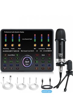Wireless Karaoke Microphone Professional Condenser Sound Card Set