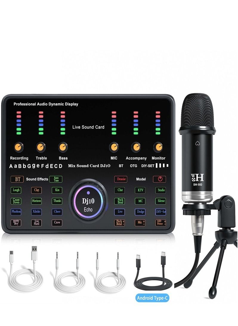 Generic - Wireless Karaoke Microphone Professional Condenser Sound Card Set - Image 1